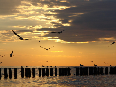 Baltic Sea