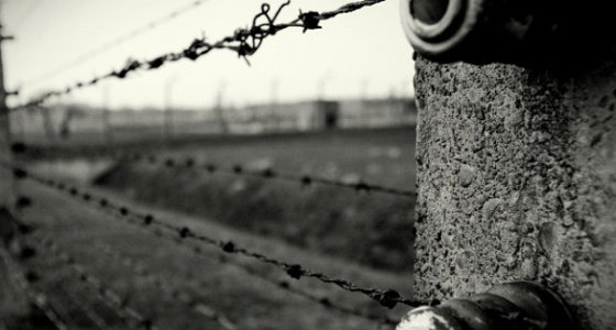 auschwitz